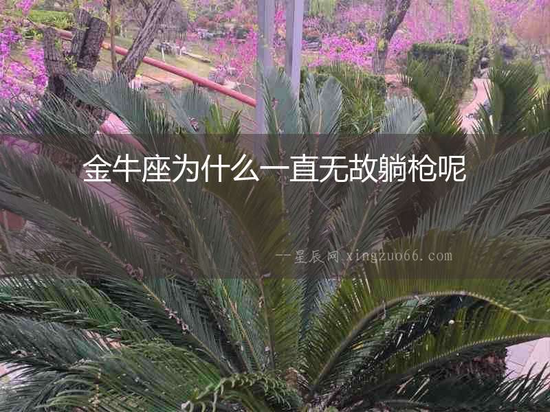 金牛座為什么一直無故躺槍呢