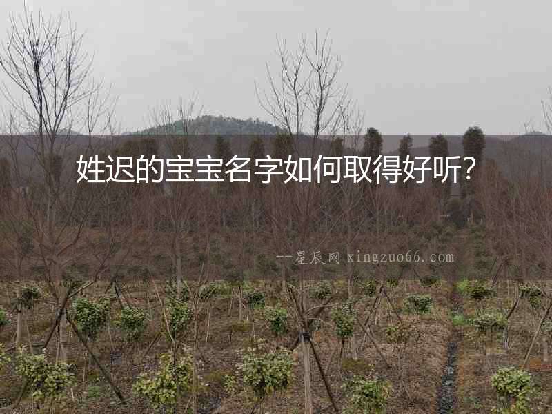 姓遲的寶寶名字如何取得好聽？