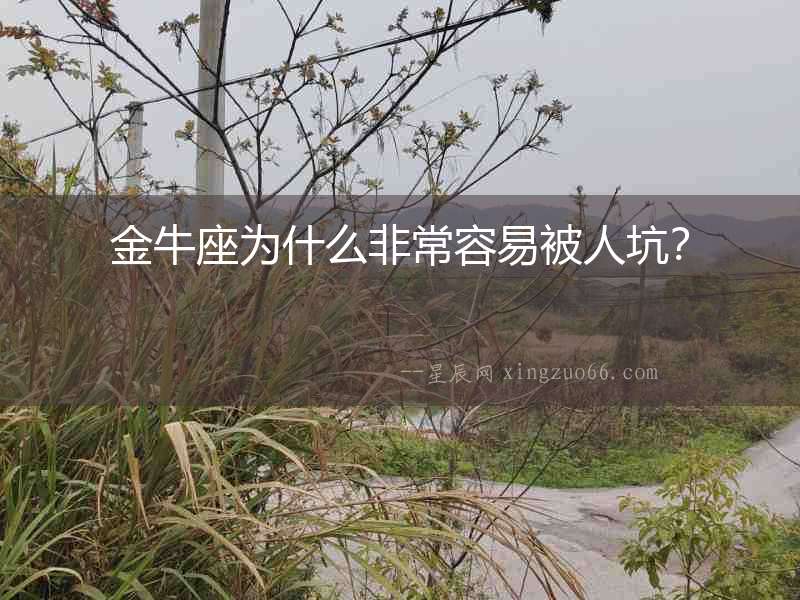 金牛座為什么非常容易被人坑？