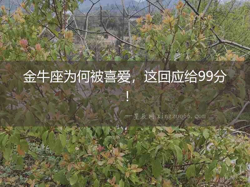 金牛座為何被喜愛，這回應給99分！