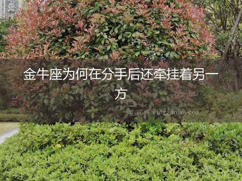 金牛座為何在分手后還牽掛著另一方
