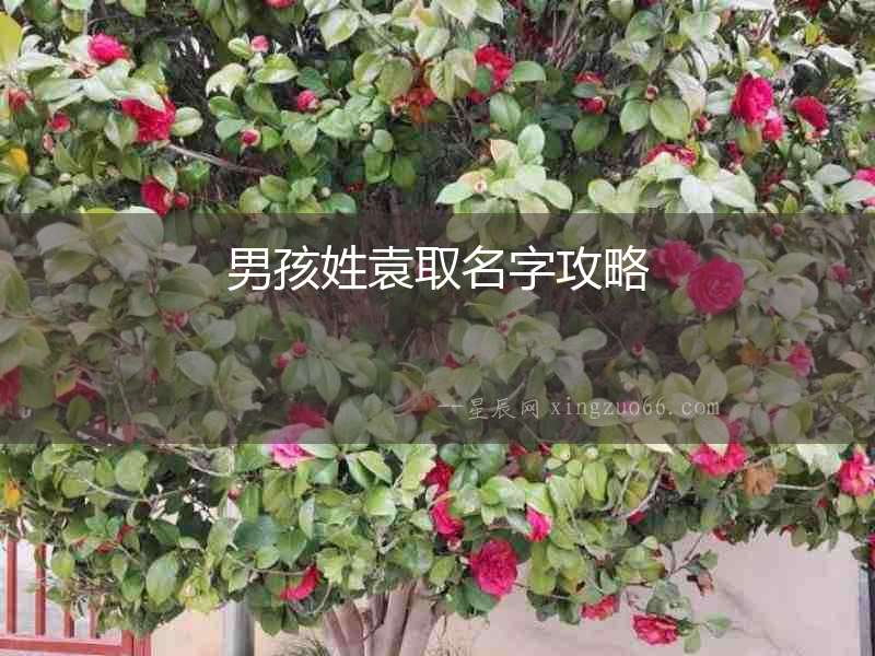 男孩姓袁取名字攻略