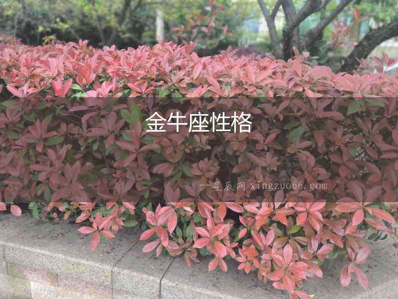 金牛座性格