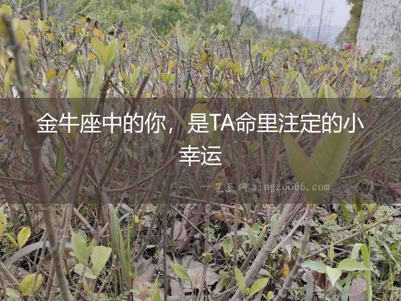 金牛座中的你，是TA命里注定的小幸運(yùn)