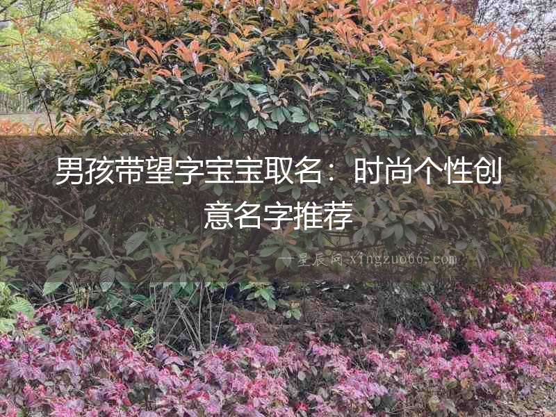 男孩帶望字寶寶取名：時尚個性創意名字推薦