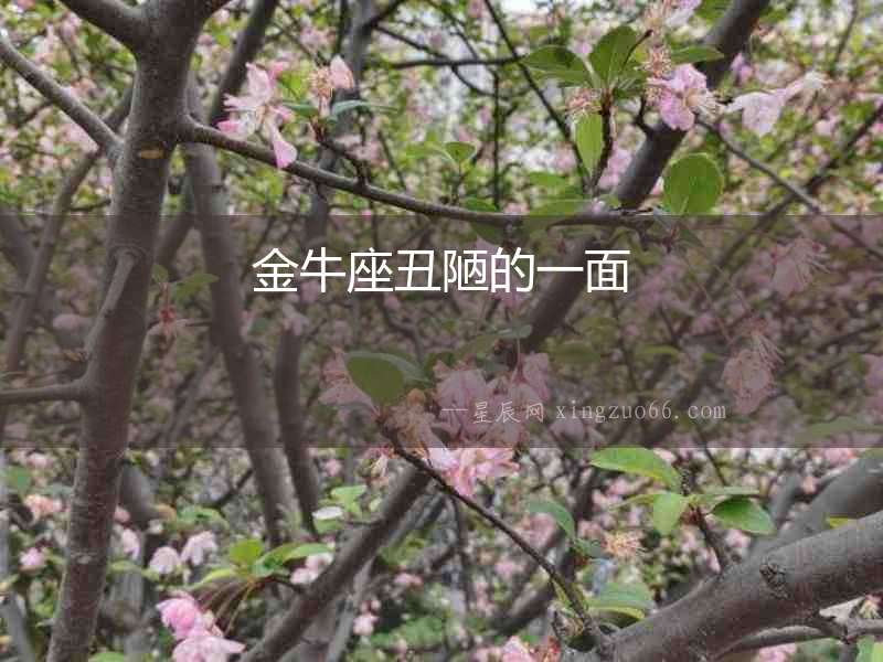 金牛座丑陋的一面