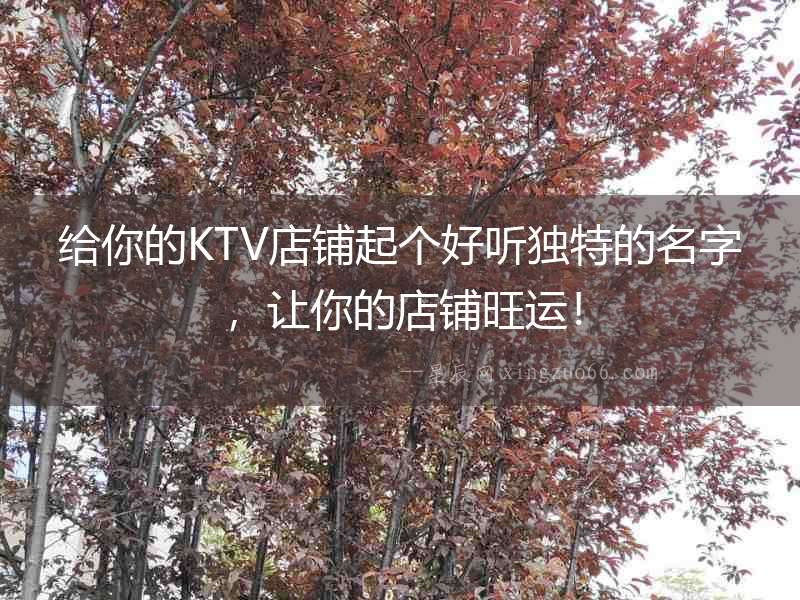 給你的KTV店鋪起個(gè)好聽(tīng)獨(dú)特的名字，讓你的店鋪旺運(yùn)！