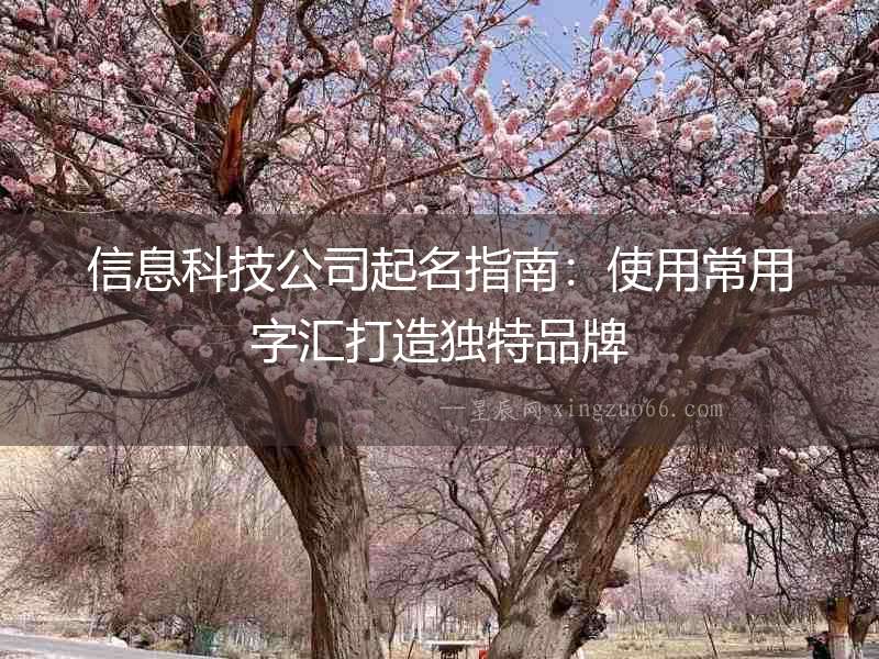 信息科技公司起名指南：使用常用字匯打造獨特品牌