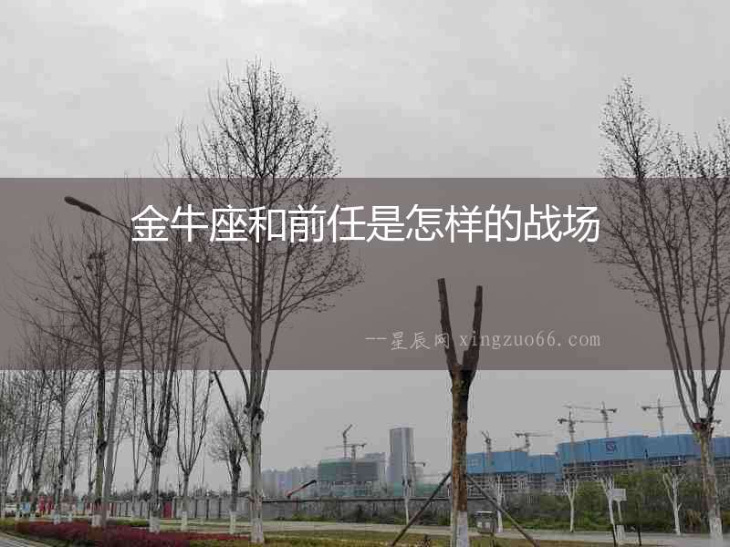 金牛座和前任是怎樣的戰場