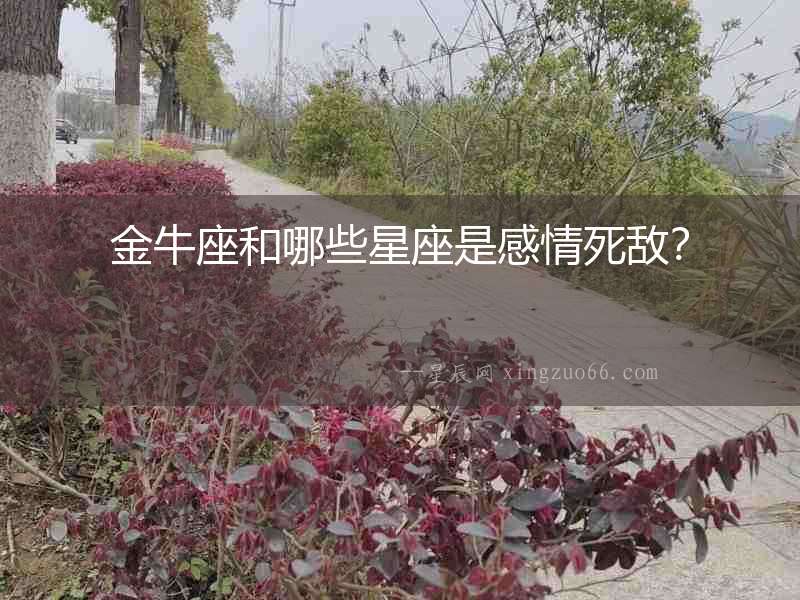 金牛座和哪些星座是感情死敵？