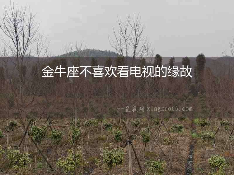 金牛座不喜歡看電視的緣故