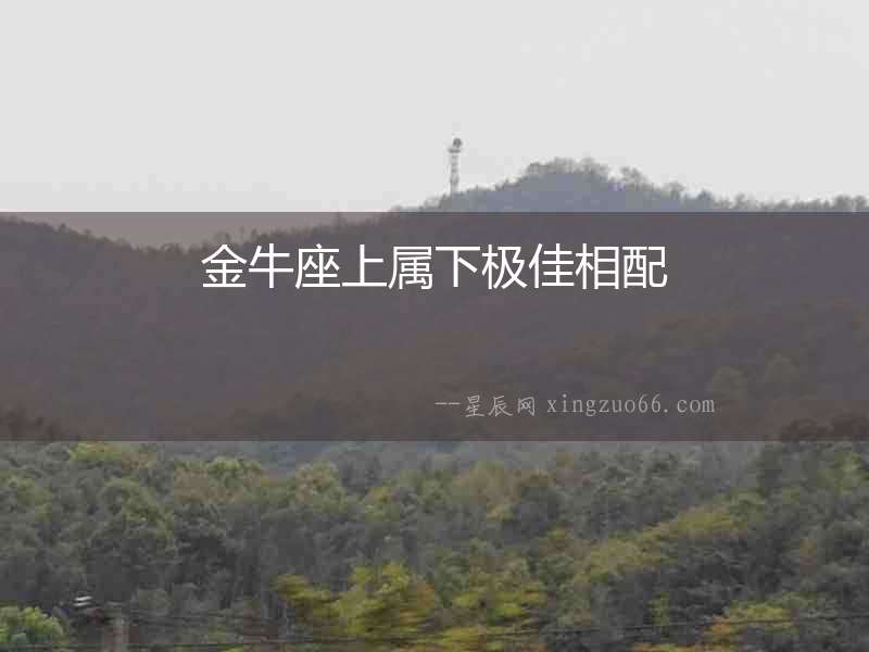 金牛座上屬下極佳相配