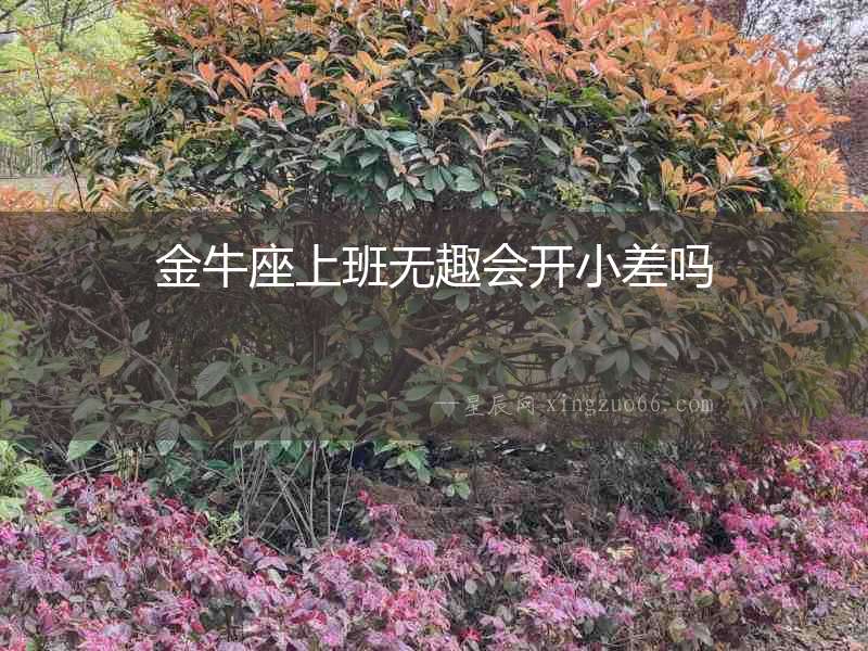 金牛座上班無趣會開小差嗎