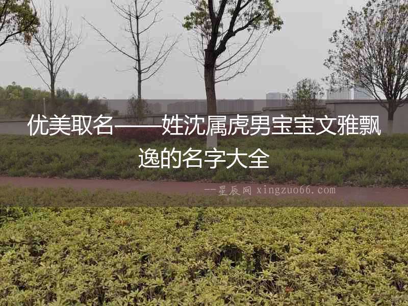 優美取名——姓沈屬虎男寶寶文雅飄逸的名字大全