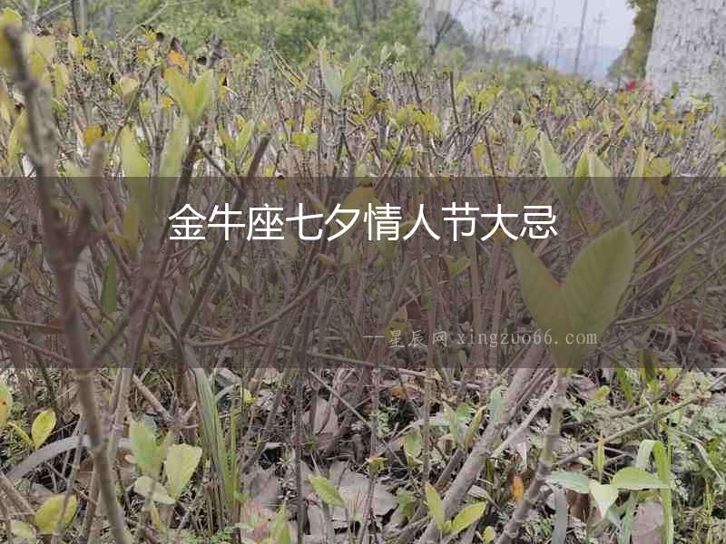 金牛座七夕情人節大忌