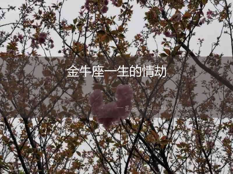 金牛座一生的情劫