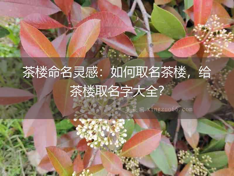 茶樓命名靈感：如何取名茶樓，給茶樓取名字大全？