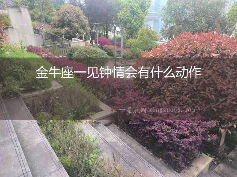 金牛座一見鐘情會有什么動作