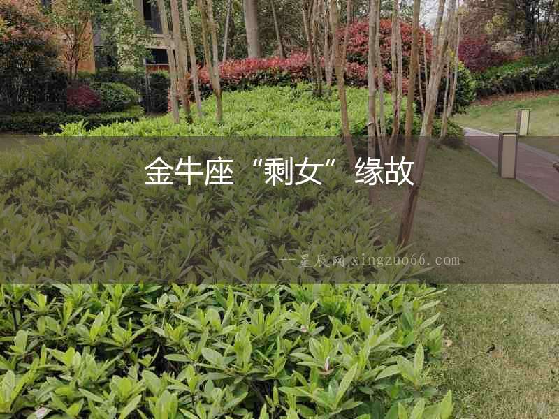 金牛座“剩女”緣故