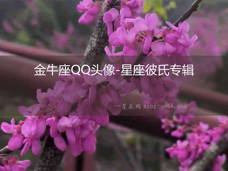 金牛座QQ頭像-星座彼氏專輯