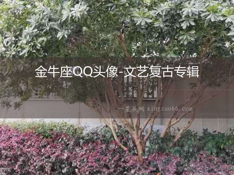 金牛座QQ頭像-文藝復古專輯