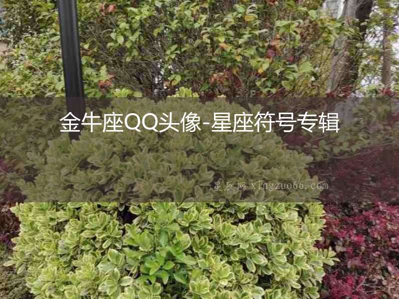 金牛座QQ頭像-星座符號專輯