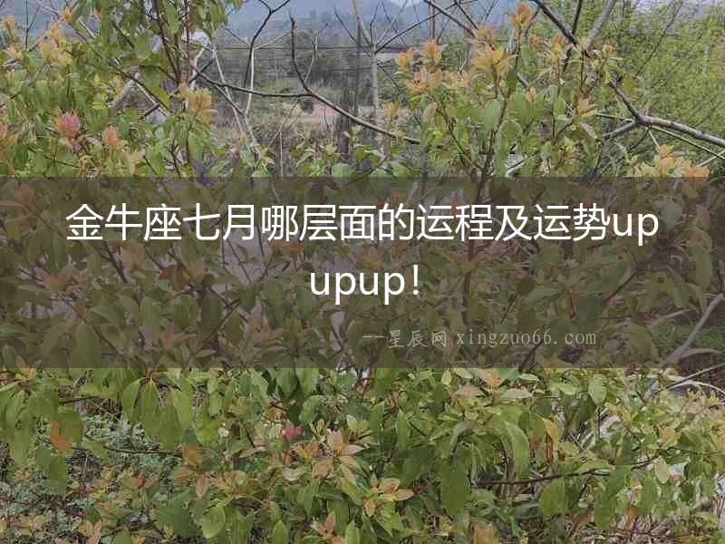 金牛座七月哪層面的運程及運勢upupup！
