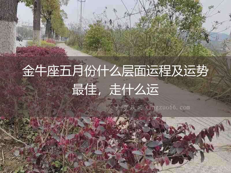 金牛座五月份什么層面運程及運勢最佳，走什么運