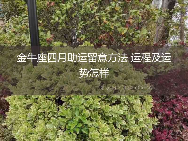 金牛座四月助運留意方法 運程及運勢怎樣
