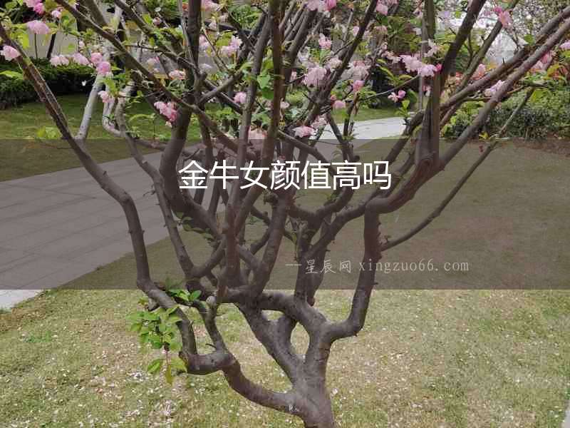 金牛女顏值高嗎