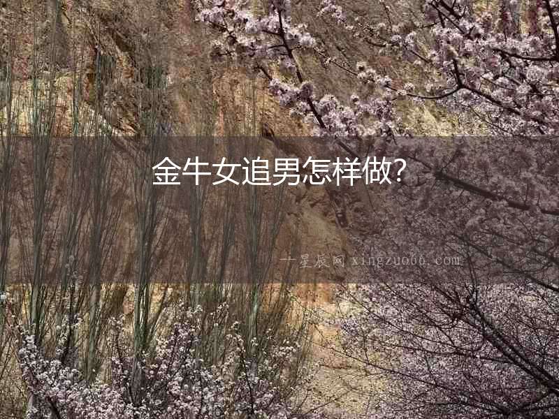 金牛女追男怎樣做？