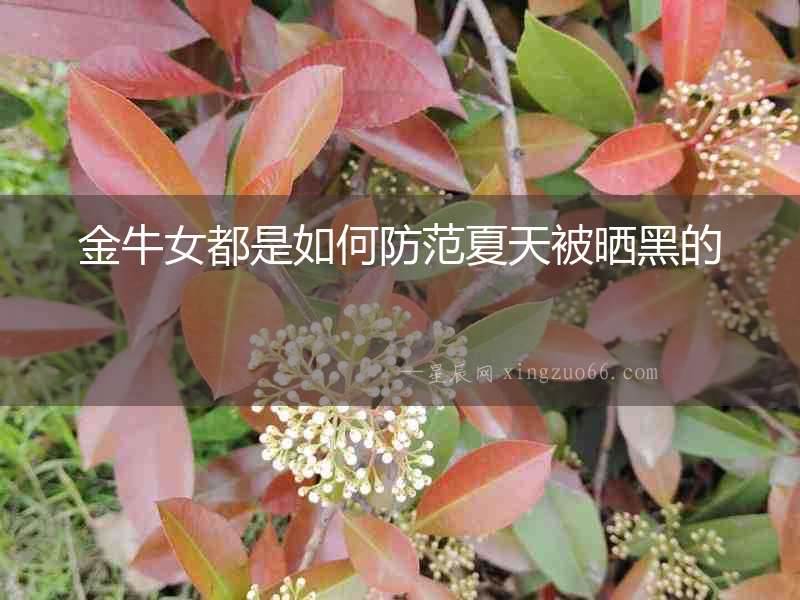 金牛女都是如何防范夏天被曬黑的