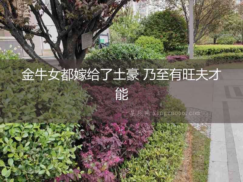 金牛女都嫁給了土豪 乃至有旺夫才能
