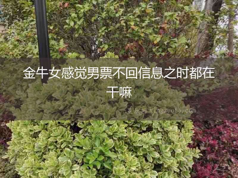 金牛女感覺男票不回信息之時都在干嘛