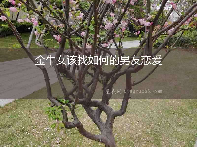 金牛女該找如何的男友戀愛