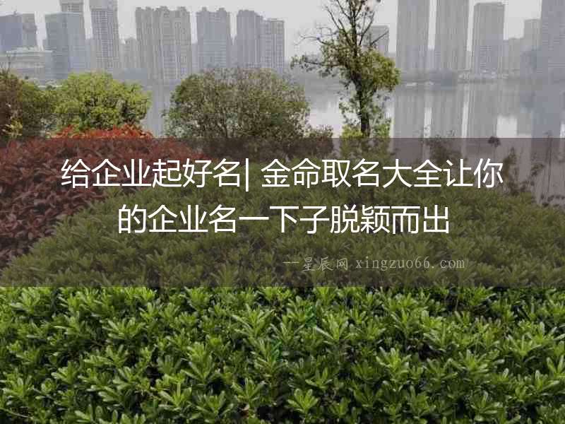 給企業起好名| 金命取名大全讓你的企業名一下子脫穎而出