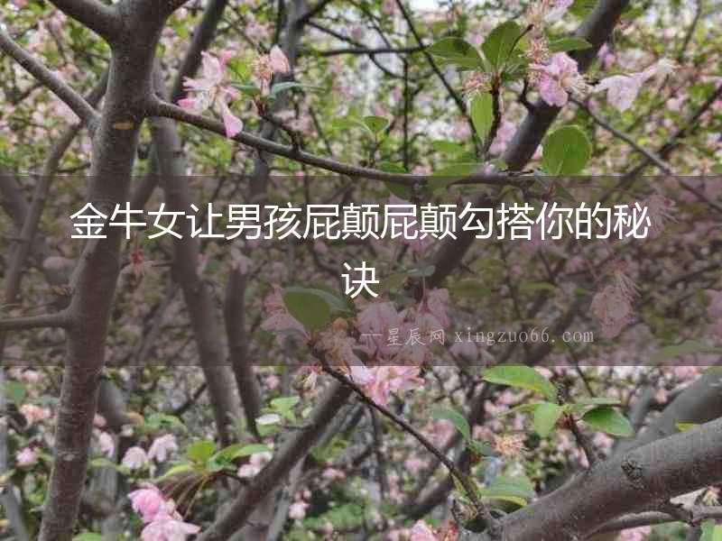 金牛女讓男孩屁顛屁顛勾搭你的秘訣