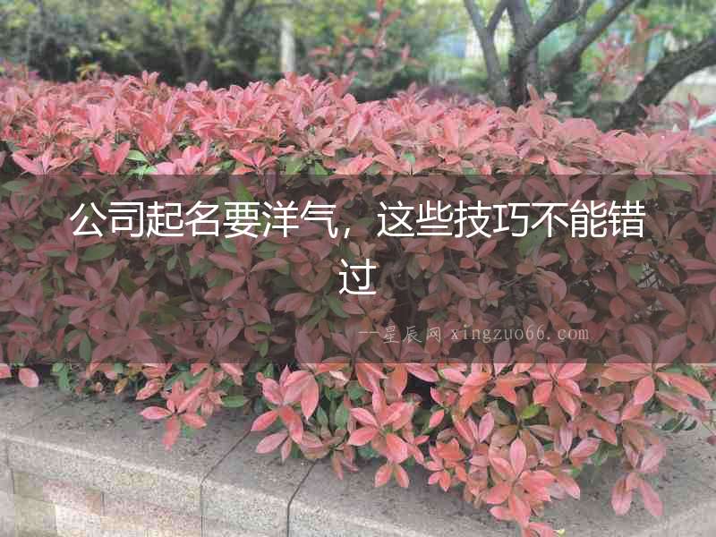 公司起名要洋氣，這些技巧不能錯過