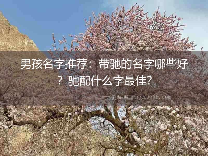 男孩名字推薦：帶馳的名字哪些好？馳配什么字最佳？