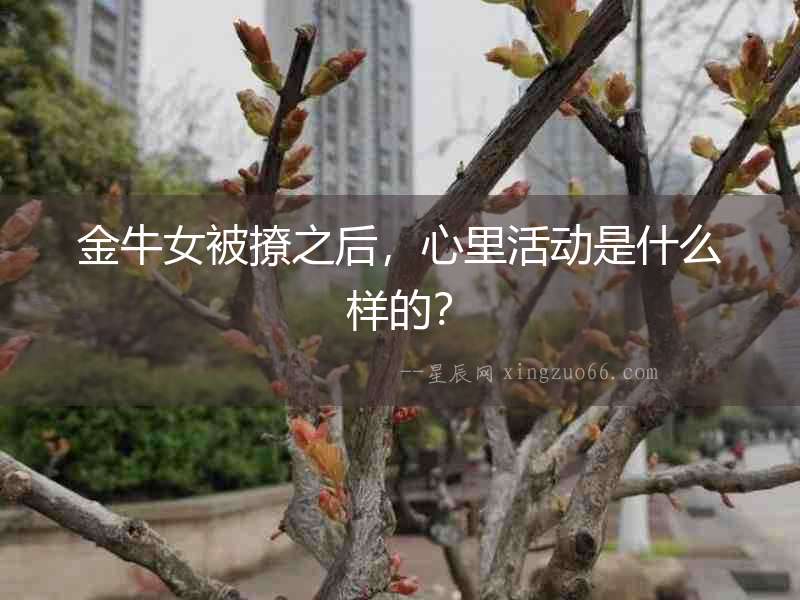 金牛女被撩之后，心里活動是什么樣的？