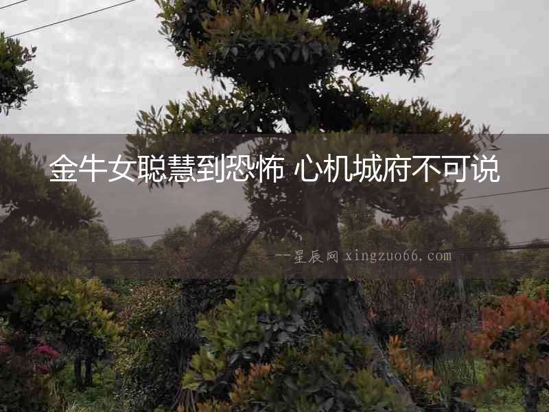 金牛女聰慧到恐怖 心機城府不可說