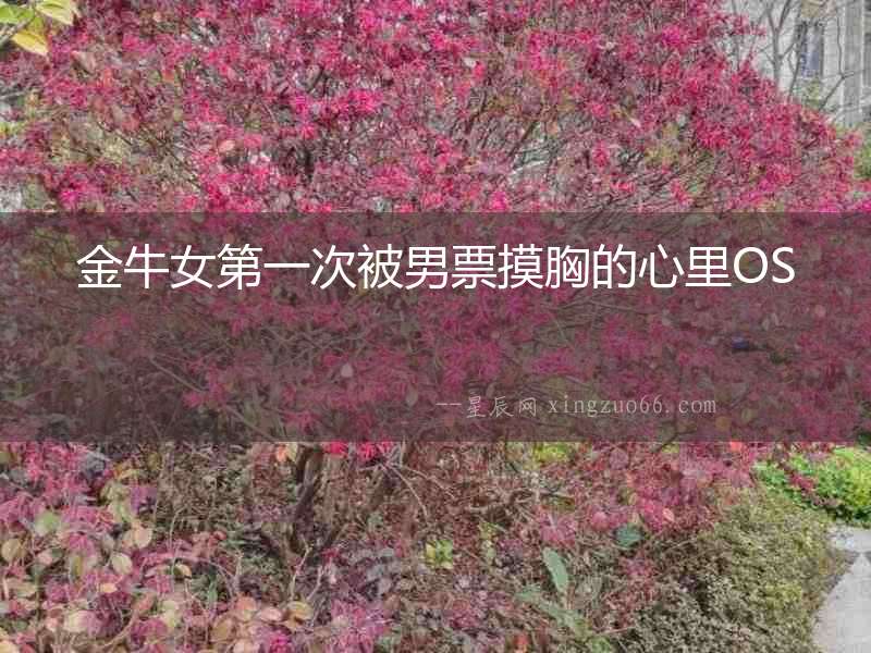 金牛女第一次被男票摸胸的心里OS