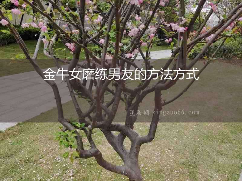 金牛女磨練男友的方法方式