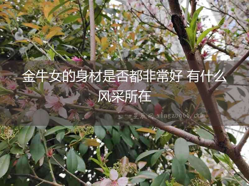 金牛女的身材是否都非常好 有什么風采所在