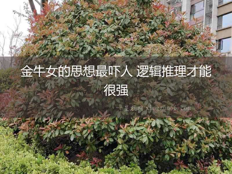 金牛女的思想最嚇人 邏輯推理才能很強