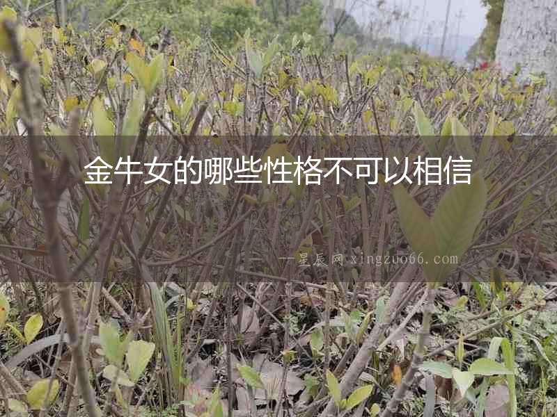 金牛女的哪些性格不可以相信