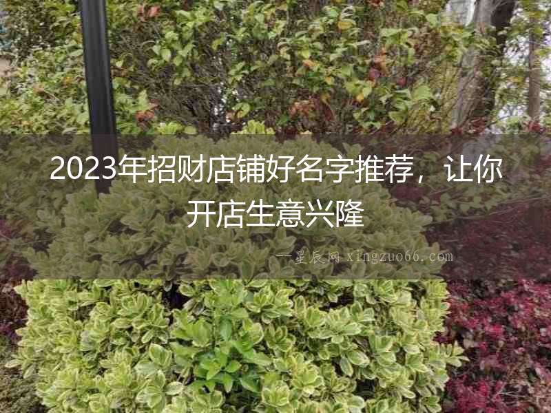 2023年招財?shù)赇伜妹滞扑]，讓你開店生意興隆