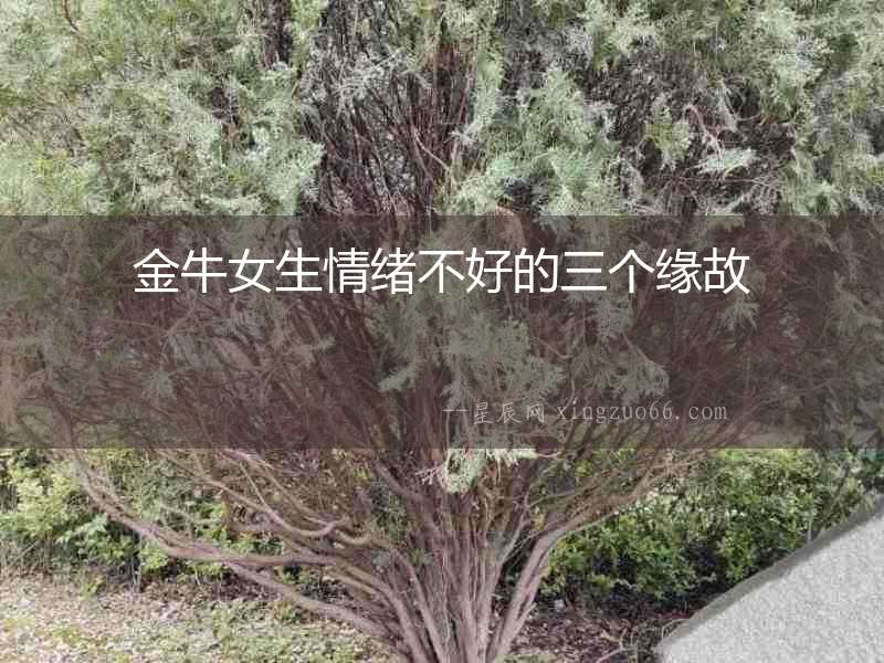 金牛女生情緒不好的三個緣故