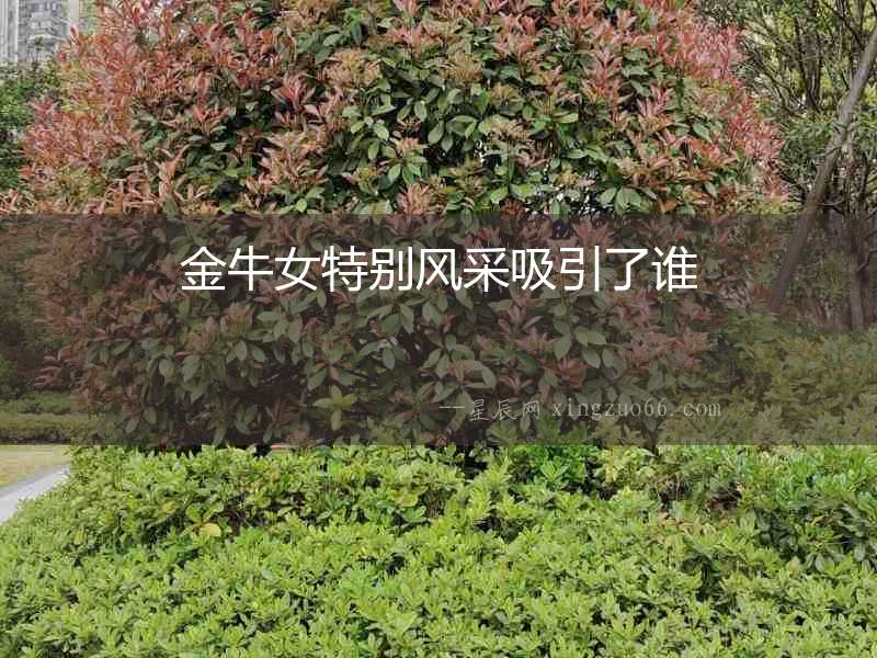 金牛女特別風采吸引了誰