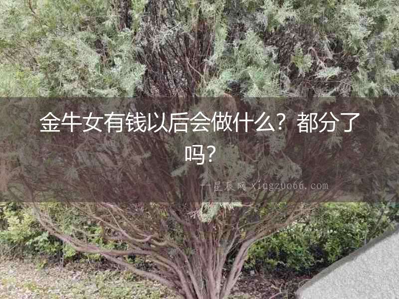 金牛女有錢以后會做什么？都分了嗎？